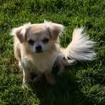 Profile Picture of James Maur (@James-Maur) on Facebook