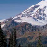 Profile Picture of Suzanne_Maxwell (@suzanne_maxwellq) on Instagram