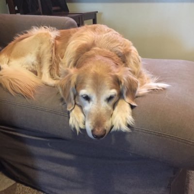 Profile Picture of Stephen Skiles (@porston) on Twitter
