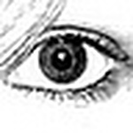 Profile Picture of Kayla Capps (@KaylaCappsPhotog) on Flickr