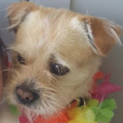 Profile Picture of Amelia Rowland (@ameliarowland1207) on Youtube