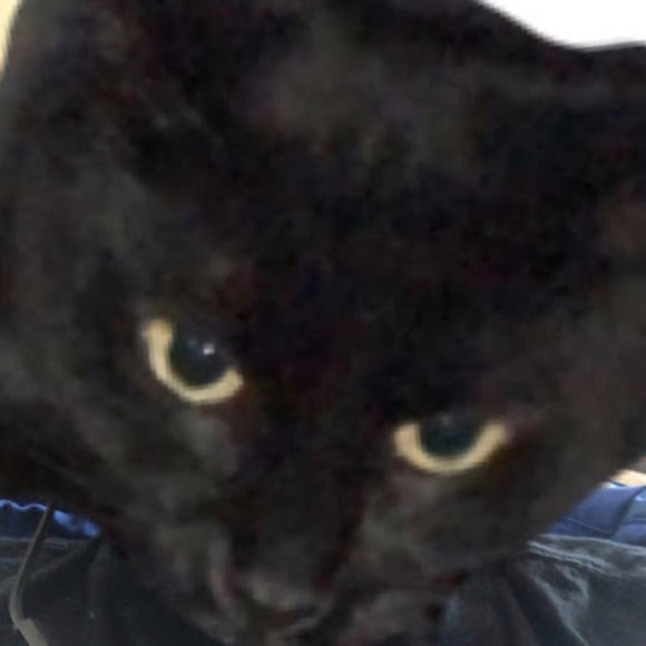 Profile Picture of Carter Holsinger (@thesavagemain) on Poshmark