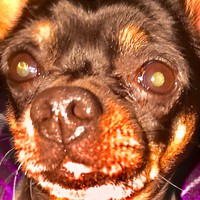 Profile Picture of Hugo Veliz (@hugo-veliz-8) on Quora