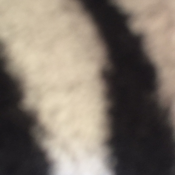 Profile Picture of Lilly Frist (@lilly57857) on Poshmark