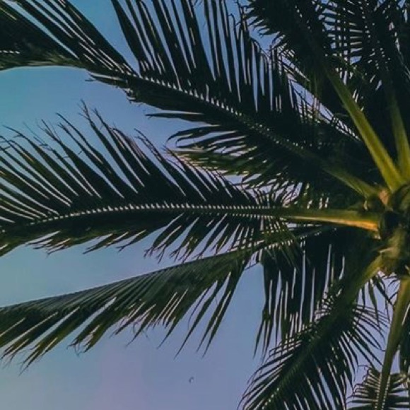 Profile Picture of Nick Simpson (@nickssimp) on Poshmark