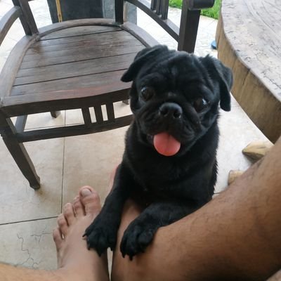 Profile Picture of Jemi (@JeremyAbraham09) on Twitter