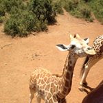 Stephanie - Instagram Profile Picture of Stephanie (@snwarth) on Instagram