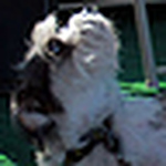 Profile Picture of Michael Reppenhagen (@MReppenhagen) on Flickr