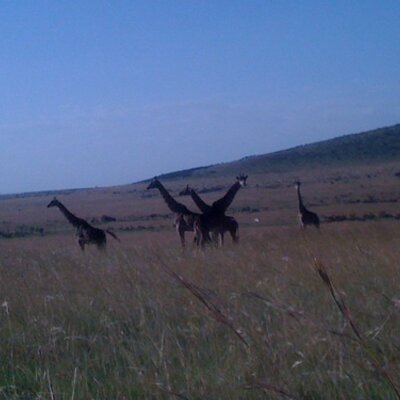 Profile Picture of Matthew (@m_fentress) on Twitter