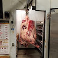Profile Picture of Dustin Jarvie (@dustin-jarvie) on Quora