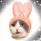 Profile Picture of Robert Bowmer (@Robert-Bowmer) on Facebook