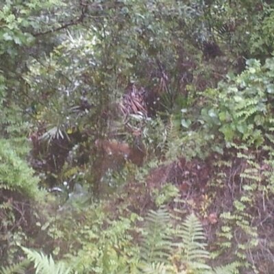 Profile Picture of Steve Curl (@stevencurl80) on Twitter
