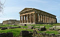 Profile Picture of Paestumon Wikipedia