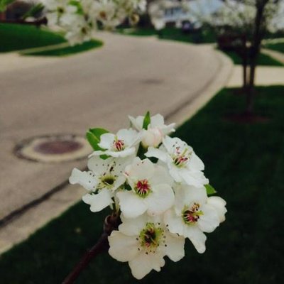 Profile Picture of Mo Nguyen (@monguyen2004) on Twitter