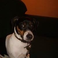 Profile Picture of Kim Sproul (@kim.sproul.9) on Facebook