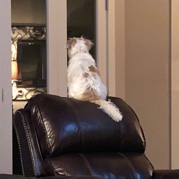 Profile Picture of Ellen Hogan (@eehogan) on Poshmark