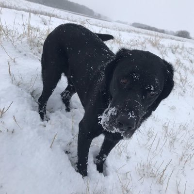 Profile Picture of Christopher Mulvey (@mulvo0703) on Twitter