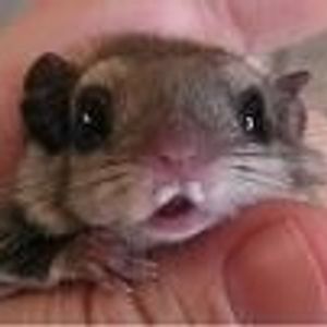 Profile Picture of Chris Archibald (@chris_archibald) on Myspace