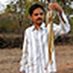 Profile Picture of Akash  Meshram (@snakeprotector) on Flickr