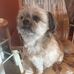 Profile Picture of Karen Beauchamp (@karen.beauchamp.338) on Facebook