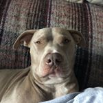 Profile Picture of Matthew Milliken (@_mattmilliken) on Instagram
