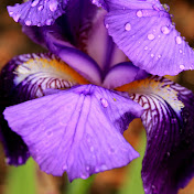 Profile Picture of Lisa Mac (@LisaMac84) on Youtube