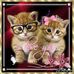 Profile Picture of Amalia Plata (@amalia.plata.1) on Facebook