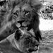 Profile Picture of Harry Du Preez (@harrydupreez) on Pinterest