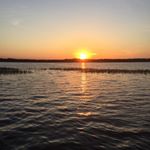 Profile Picture of Cathy Paine (@ladysniper06) on Instagram