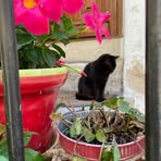 Profile Picture of Annette Winkler (@Annette-Winkler) on Facebook