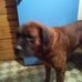 Profile Picture of Jim Griswold (@jim.griswold.56) on Facebook
