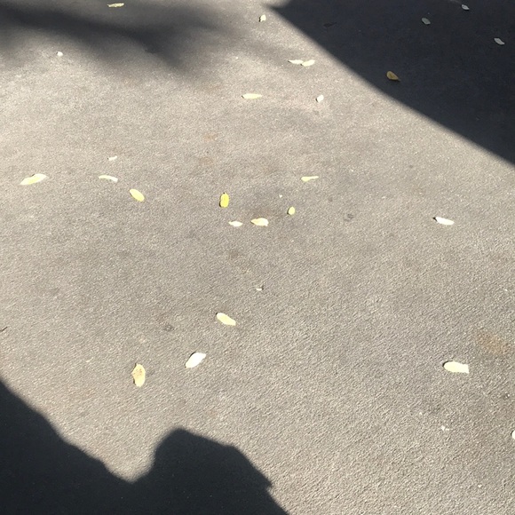 Profile Picture of Emily Weisler (@emilyweisler) on Poshmark