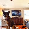 Profile Picture of Marjorie Trimble (@@marjorie.trimble) on Tiktok
