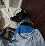 Profile Picture of Fran Schneider (@franco.schneider2) on Facebook