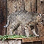 Profile Picture of Flemming (@flemmingourtim) on Instagram