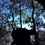 Profile Picture of Jacob Farnsworth (@jacobfarnsworth320) on Instagram