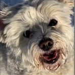 Profile Picture of Larry Thrasher (@larry.thrasher.98) on Facebook