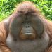 Profile Picture of Paul Endsor (@paul.endsor.94) on Facebook