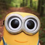 Profile Picture of Dave, Phil, Jerry, Karl & Karl (@marlasminions) on Instagram