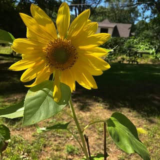 Profile Picture of Kim Fretz McAdory (@kim.mcadory) on Instagram