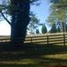 Profile Picture of Scott Renfroe (@gsumarket) on Pinterest