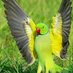 Profile Picture of Qadeer Anwar (@QadeerAnwar13) on Twitter