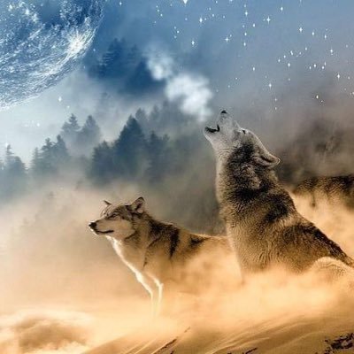 Profile Picture of The Wolfs Den (@MikeBrazeal54) on Twitter
