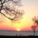 Profile Picture of Jesse Spears (@jespears5) on Instagram