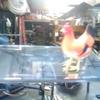 Profile Picture of erichumphreys03 (@@erichumphreys03) on Tiktok