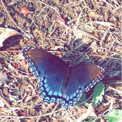 Profile Picture of Brianne Scott (@Scottbm927) on Twitter