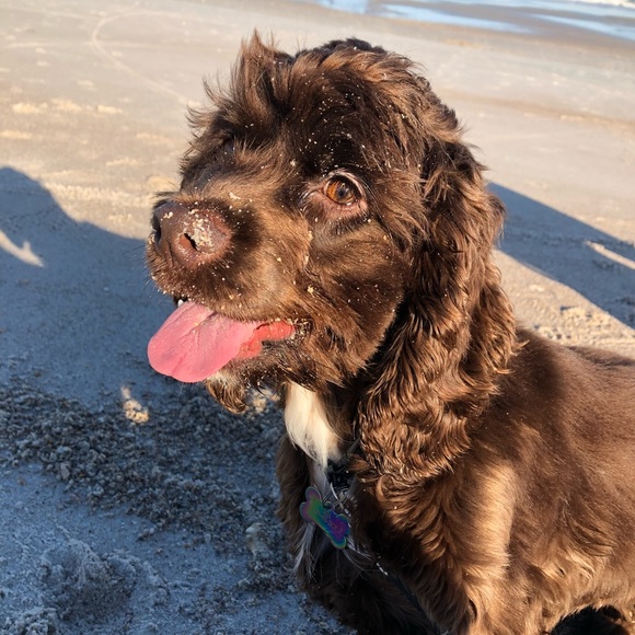 Profile Picture of Crystal Duncan (@cncombs33) on Poshmark