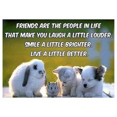 Profile Picture of Kyra Stevenson (@kyraceline123) on Twitter