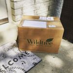 Profile Picture of Alex Leflore (@alexleflorewildtree) on Instagram