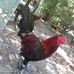 Profile Picture of Lonnie Locklear (@lonnie.locklear.180) on Facebook